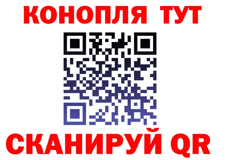 АМФ 97% вход площадка OMG Белая Холуница